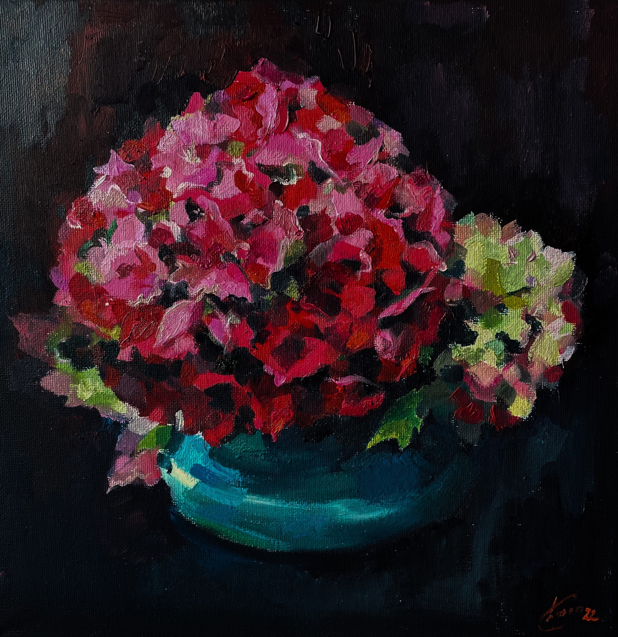 Hortensia 