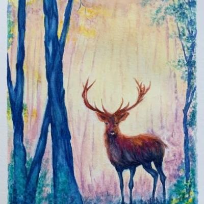 Aube dans la forêt bleue