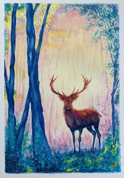 Aube dans la forêt bleue