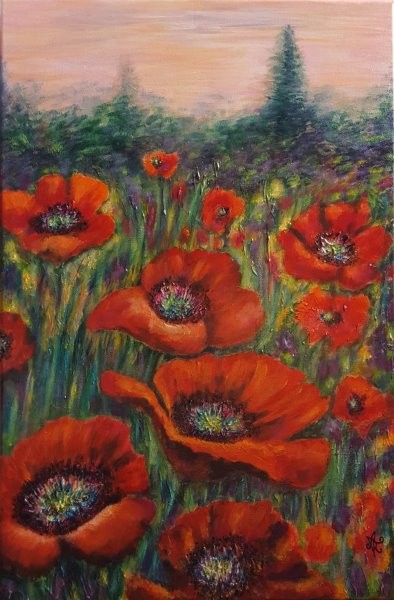 Champs de pavots