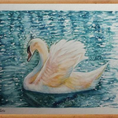 Doux reflets