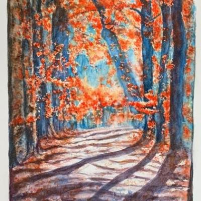 La forêt rougeoyante