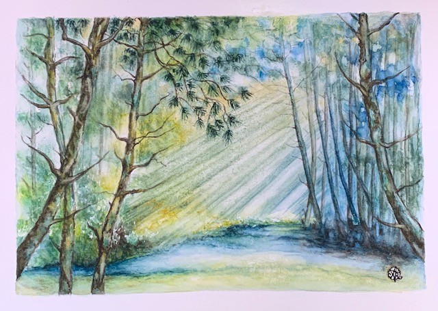 La mare aux grenouilles