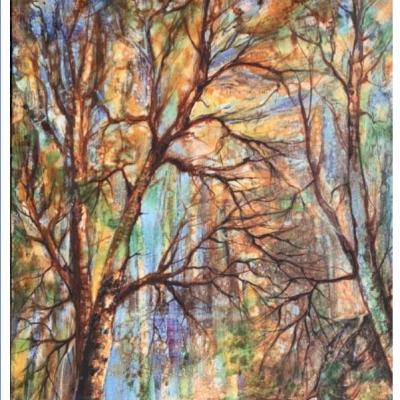 Le bois des damoiselles