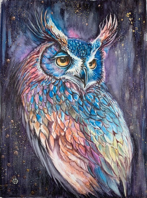 Le hibou arlequin