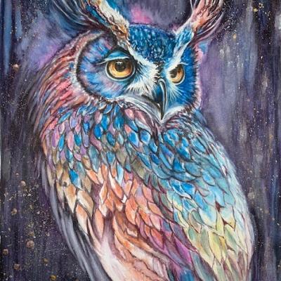 Le hibou arlequin